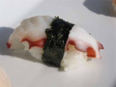 Octopus Image