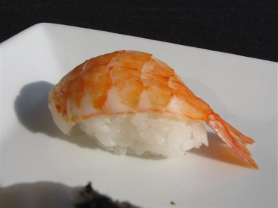 Shrimp Image