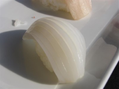 Squid Image