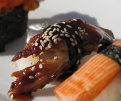 Eel Image