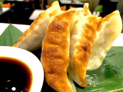 Homemade Dumplings Image