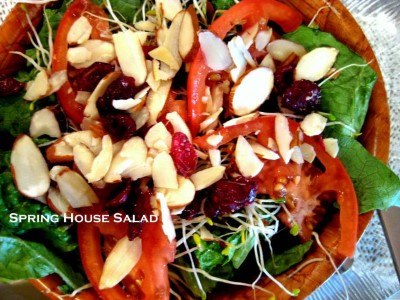 SALADS Image
