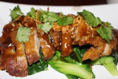 9b Tamarind Duck Image