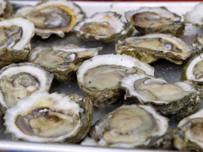 1 DOZEN OYSTERS Image