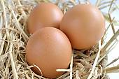 Dozen Eggs Image