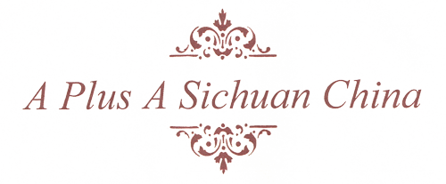 A+A Sichuan China logo