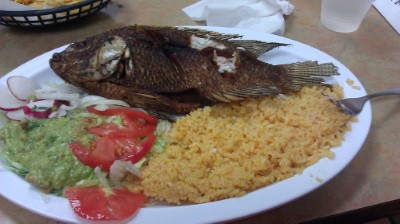 Mojarra Frita Image