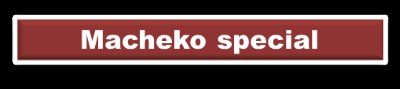 MACHEKO SPECIAL (마쉐코특선요리) Image