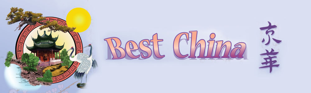 Best China logo