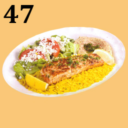 47. Salmon Image