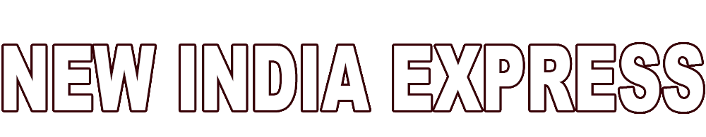 New India Express logo