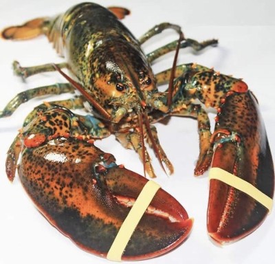 LUNCH FISH AND SEAFOOD 海鲜类(午餐) Image