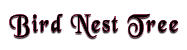 Bird Nest Tree logo