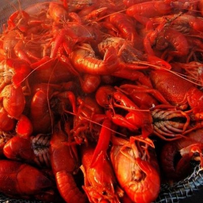 SEAFOOD BOIL Image