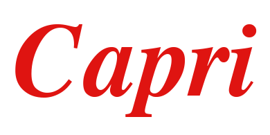 CAPRI ITALIAN RESTAURANT logo