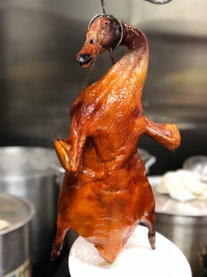 1.Roast Duck-金牌烧鸭 Image