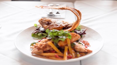 Mango Snapper Image