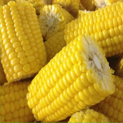 Corn Cobbette Image