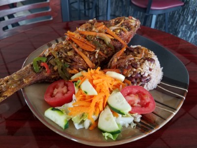 Red Snapper Fish / Ex $28.99 Image