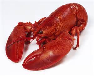 SEAFOOD Image