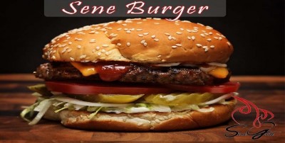 19. Seneburger Image