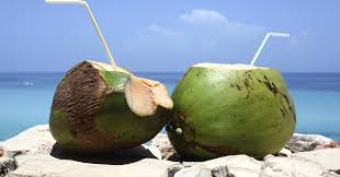 coconut Image