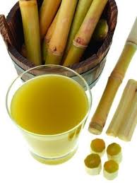 Sugar Cane Large Image