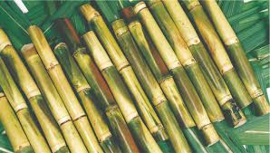 Galaxy Juice and Ice cream Center-Phone 732-322-9421(Masala tea Sugarcane) Image