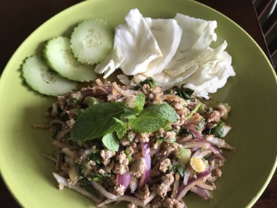 SA2. Larb Salad Image