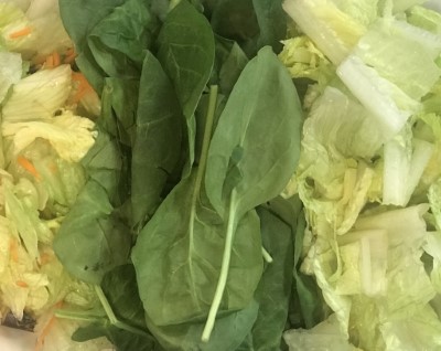 SALADS Image
