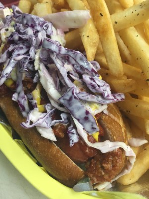Carolina Dog Image