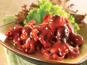 Baby Octopus Image
