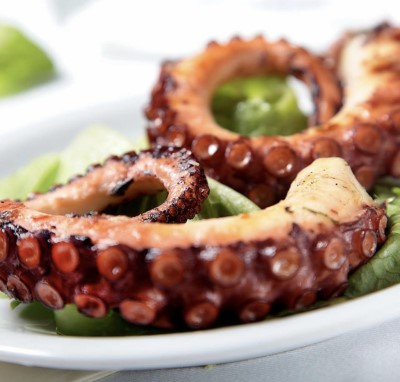 Grilled Octopus Image