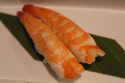 Shrimp Image