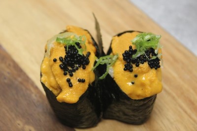 Sea Urchin Image