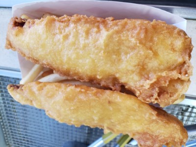 1 PC Fish Image