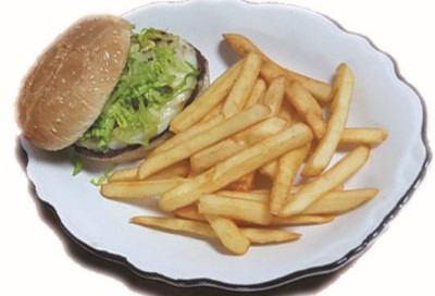 Falafel Burger Image