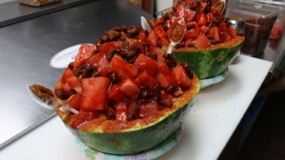 Sandia loca Image