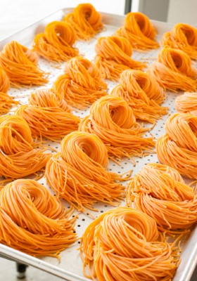 LITTLE NOODLE Image