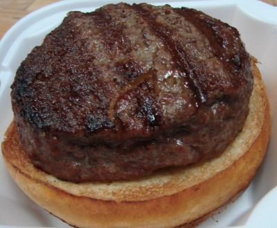 Burger with Sliced Onions Image