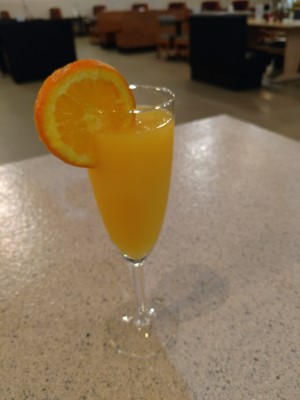 Mimosa Image
