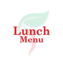 LUNCH MENU - STIR FRY Image