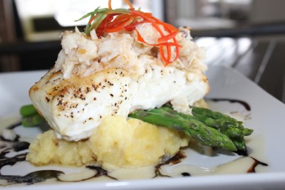 Halibut Edgar Image