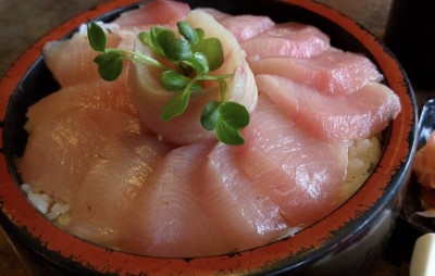 07. Hamachi Don Image