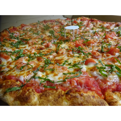 16" MARGARITA Image
