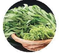 Seasonal Vegetables - Water Spanish 空心菜 Image