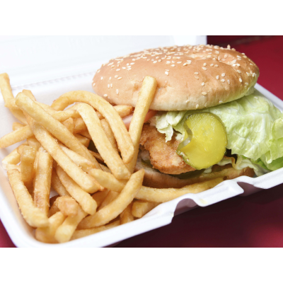 8. Spicy Chicken Burger Image