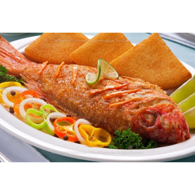 Red Snapper Fish / LG $24.99 Image