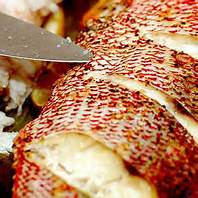 Red Snapper Fish / $19.99 Image