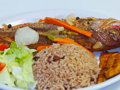 Fish Caribbean Red Snapper Image